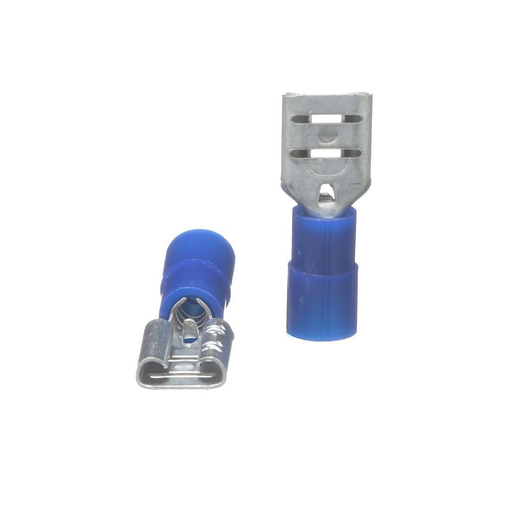 TP-TERM-BQDF250 - Blue Quick Disconnect Female